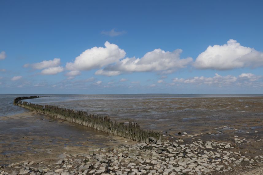 Waddenzee bij Wierum