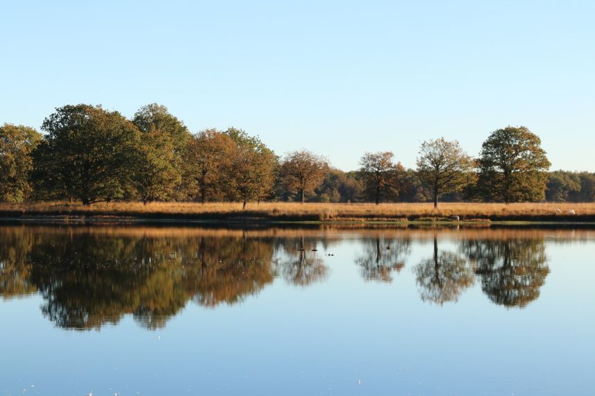 Duurswouder heide, Wijnjewoude