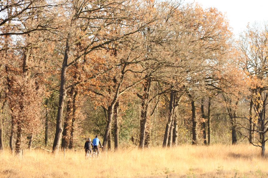 Mountainbikers in Wijnjeterper Schar, Wijnjewoude